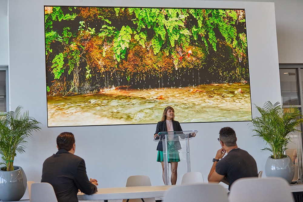 Audio visual solutions and services for St. Louis businesses