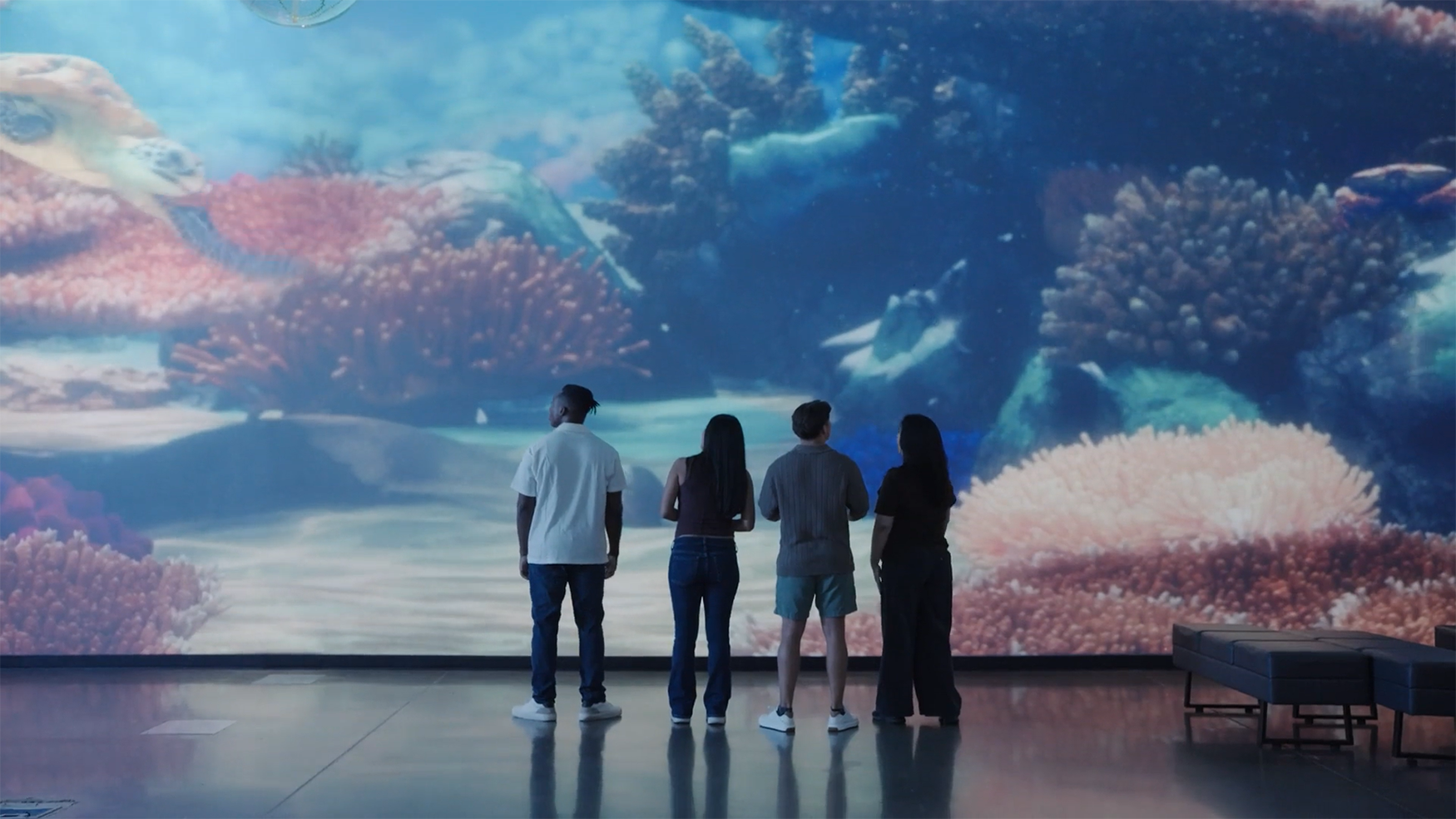Featured image for Estudio de caso del Acuario OdySea